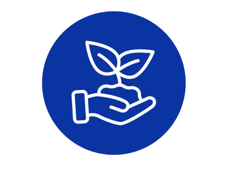 Grüne Pflanze, die in einer Hand gehalten wird, auf blauem Hintergrund.